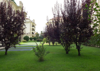 MA.GI Manutenzione Giardini S.r.l. - 20011 Corbetta (Milano)
