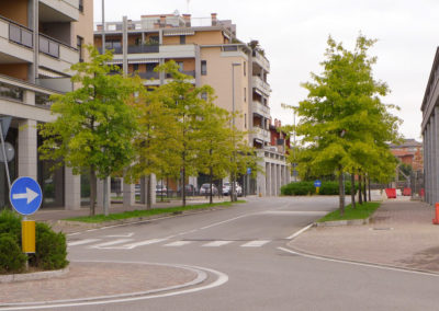 MA.GI Manutenzione Giardini S.r.l. - 20011 Corbetta (Milano)