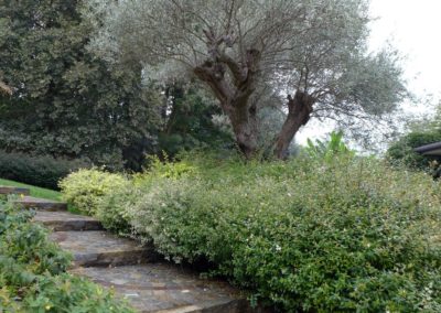 MA.GI Manutenzione Giardini S.r.l. - 20011 Corbetta (Milano)