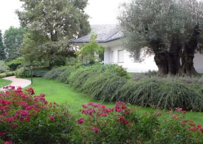 MA.GI Manutenzione Giardini S.r.l. - 20011 Corbetta (Milano)