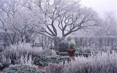 Come proteggere il giardino dal freddo dell’inverno