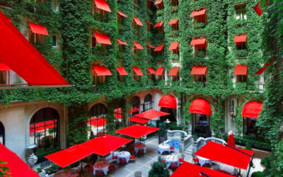 Il Giardino in città