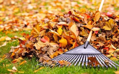 Preparare il giardino per l’autunno