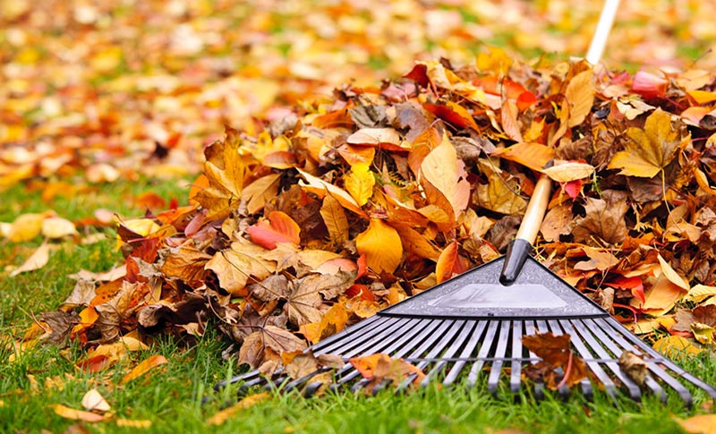 Preparare il giardino per l’autunno